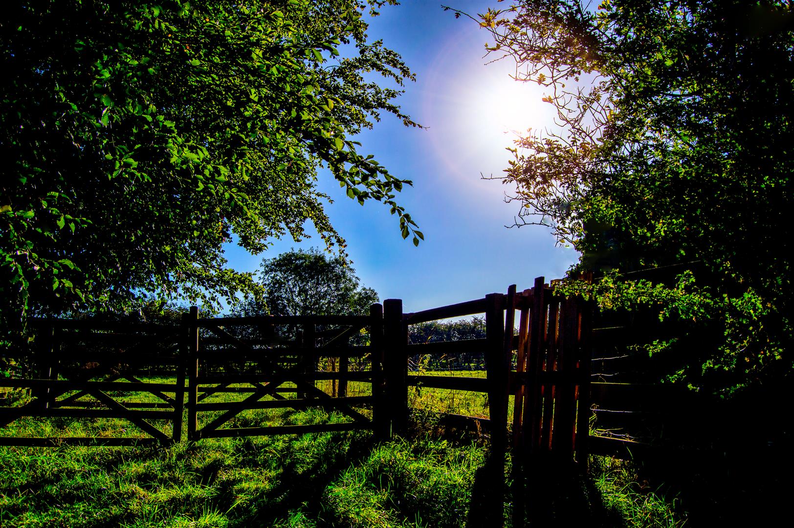 photo competion 2015 - mark o
